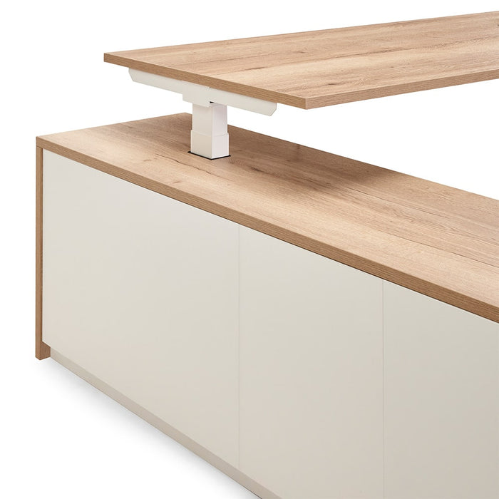 Bureau Flex 3+ Manager T-Frame & Wang